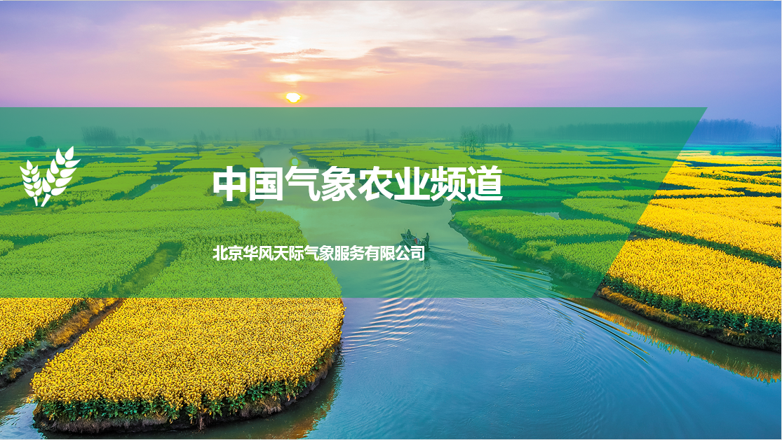 中国气象农业频道